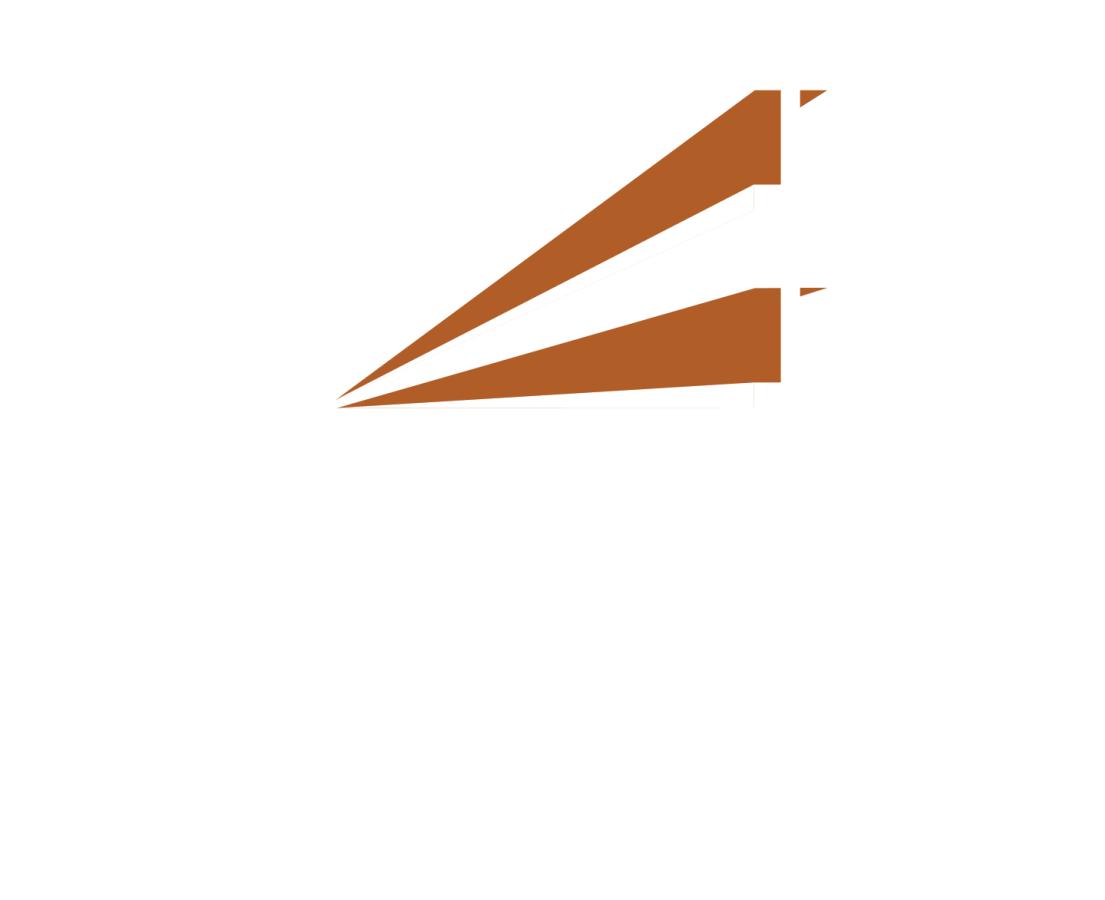 white ar V logo